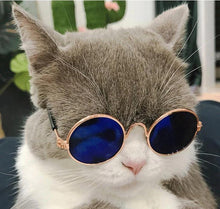 Load image into Gallery viewer, Pet Products Lovely Vintage Round Cat Sunglasses Reflection Eye wear glasses For Small Dog Cat Pet Photos Props Accessories
